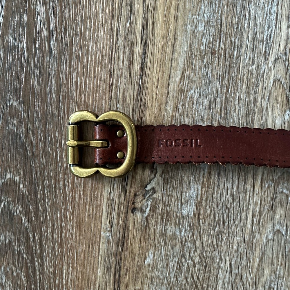 Fossil Belt